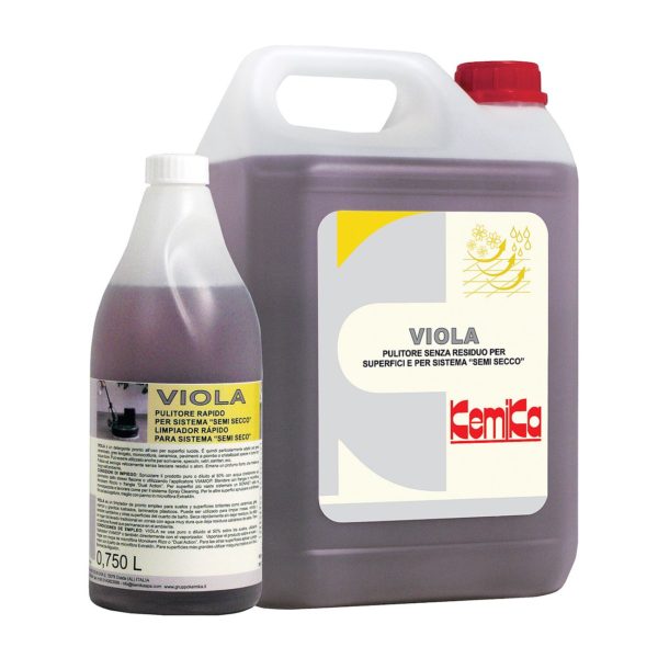 Viola